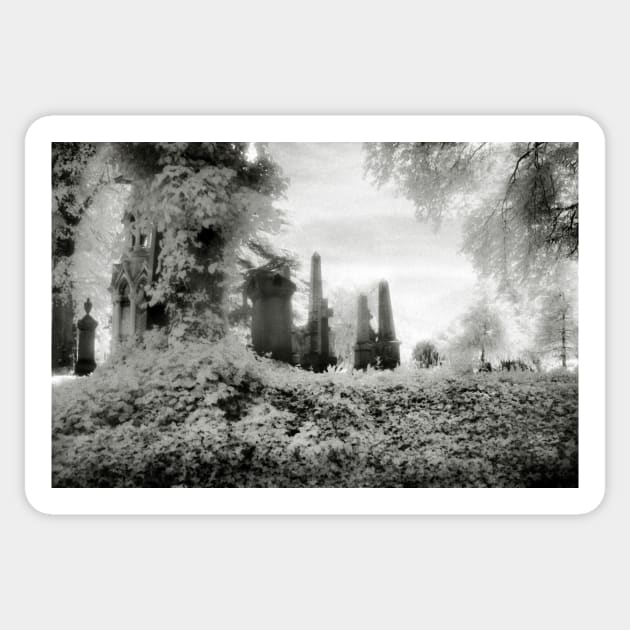 A Victorian Graveyard shot using infra-red film, West Midlands, UK Sticker by richflintphoto